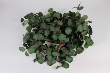 Eucalyptus artificiel vert et rouge retombant L122cm