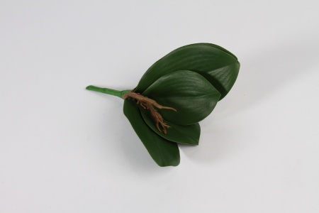 Feuilles de phalaenopsis artificielles vertes H24cm