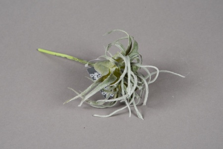 Tillandsia artificiel vert H17cm