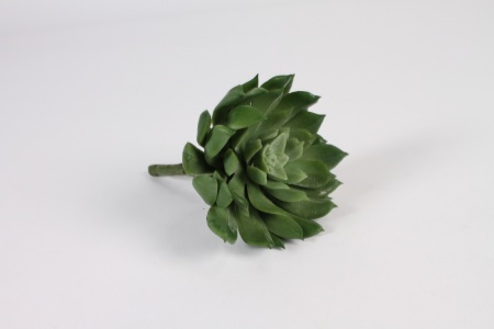 Succulente aéonium artificielle verte H13cm