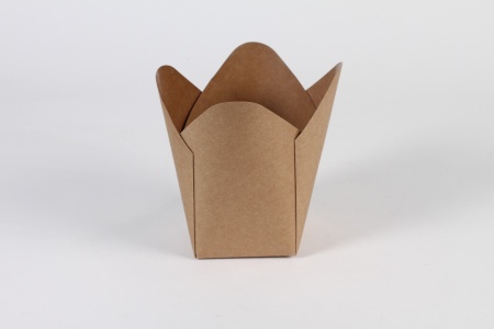 Paquet de 25 cache-pots 15cm x 15cm
