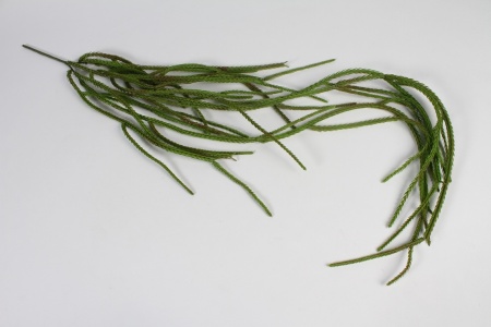 Chute succulente vert 115cm