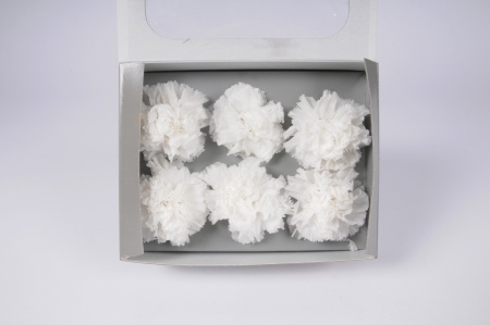 Boîte de 6 oeillets stabilisés blancs