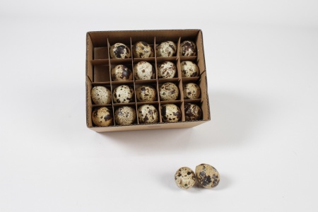 Boîte de 60 oeufs de caille D2.5cm