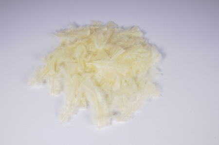 Boîte de plumes crème 45g