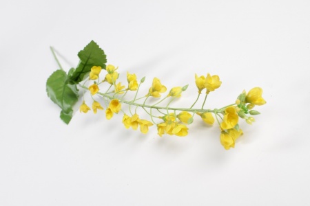 Brassica artificiel jaune H70cm