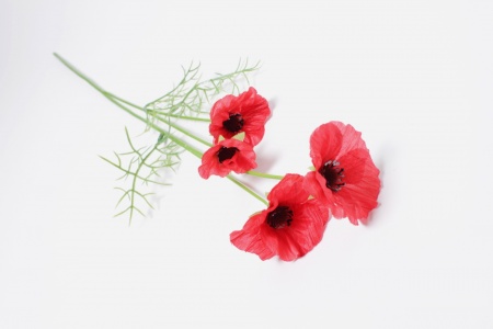 Coquelicot artificiel rouge H59cm