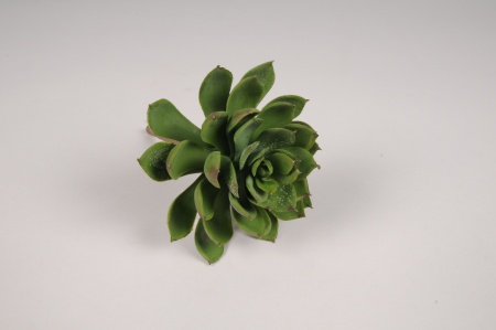 Echeveria artificiel H18cm