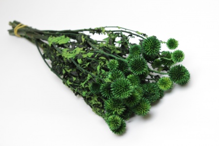 Echinops préservé vert foncé H67cm