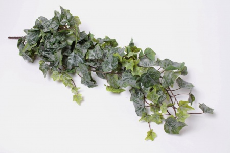 Lierre artificiel vert gris L86cm