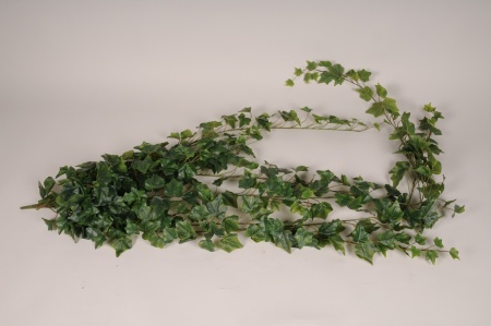 Lierre artificiel vert L175cm