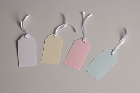 Paquet de 100 étiquettes de couleur 4.5cm x 8.5cm