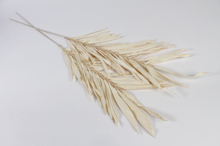 Paquet de 2 feuilles en raphia séché blanchi H110cm