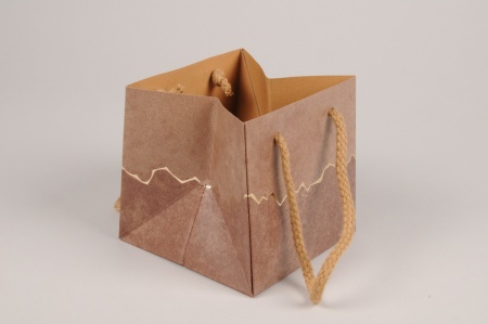 Paquet de 5 sacs brun 12x12cm