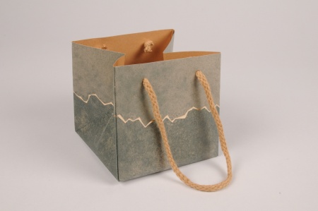 Paquet de 5 sacs vert 12x12cm