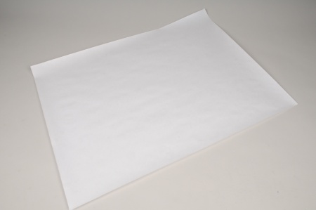 Rame 10Kg de papier 110g kraft blanc 50x65cm