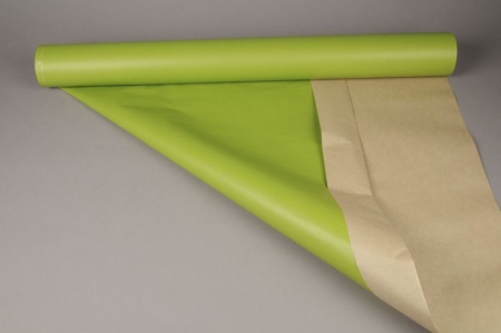 Rouleau de papier kraft vert pomme 0,8 x 50m