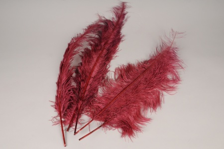 Sachet de 5 plumes d\'autruche framboise