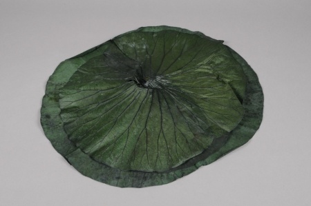 Sachet de feuilles de lotus stabilisées vertes